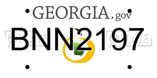 BNN2197 Georgia License Plate