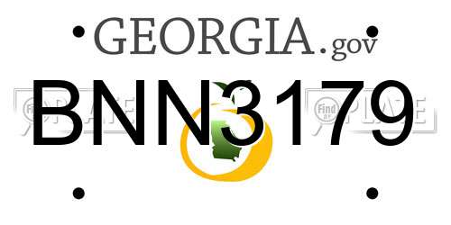 BNN3179 Georgia License Plate