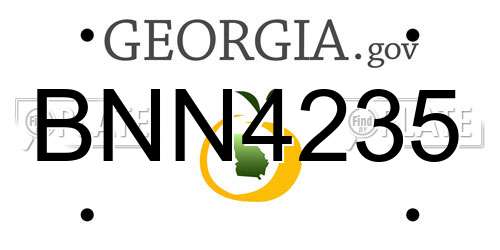 BNN4235 Georgia License Plate