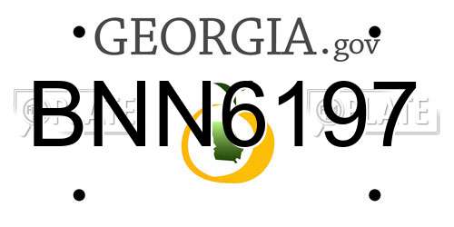 BNN6197 Georgia License Plate