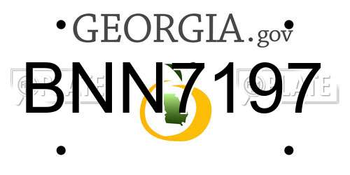 BNN7197 Georgia License Plate