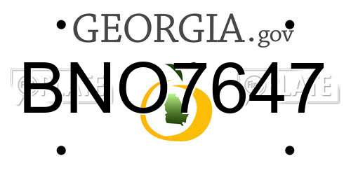 BNO7647 Georgia License Plate