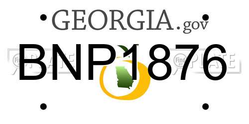 BNP1876 Georgia License Plate
