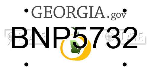 BNP5732 Georgia License Plate