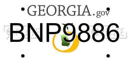 BNP9886 Georgia License Plate