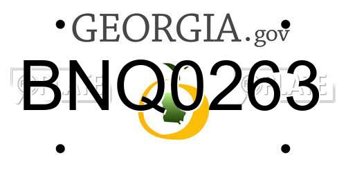 BNQ0263 Georgia License Plate