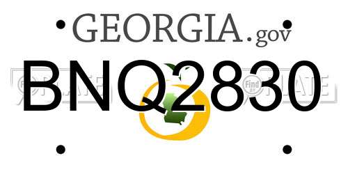 BNQ2830 Georgia License Plate