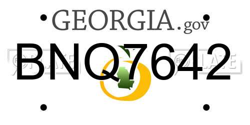 BNQ7642 Georgia License Plate
