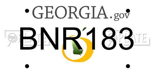BNR183 Georgia License Plate