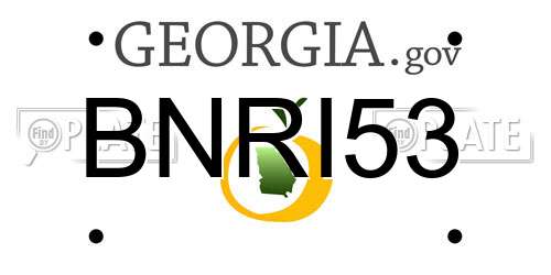 BNRI53 Georgia License Plate