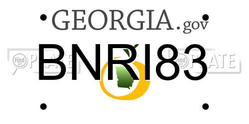 BNRI83 Georgia License Plate