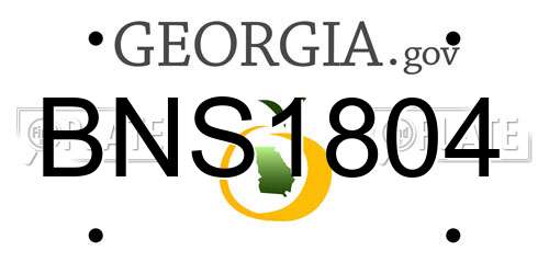 BNS1804 Georgia License Plate