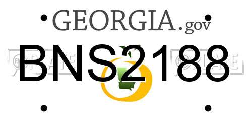 BNS2188 Georgia License Plate