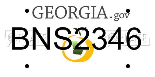 BNS2346 Georgia License Plate