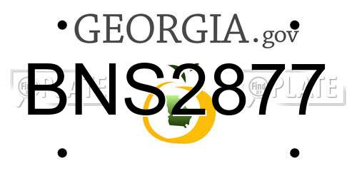 BNS2877 Georgia License Plate