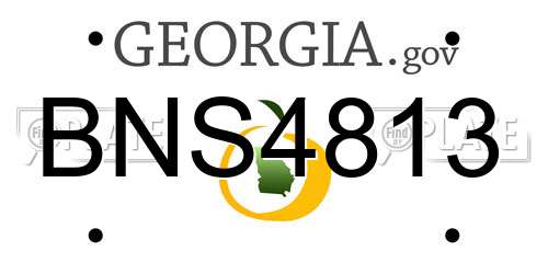 BNS4813 Georgia License Plate