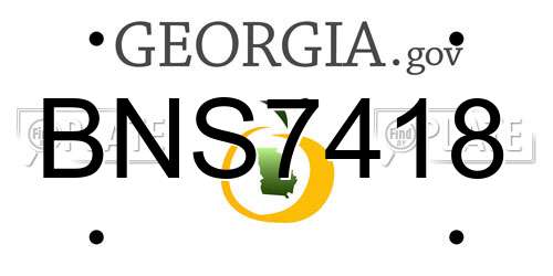 BNS7418 Georgia License Plate