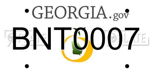 BNT0007 Georgia License Plate