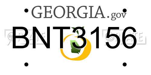 BNT3156 Georgia License Plate