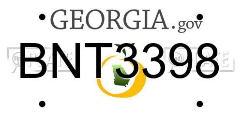 BNT3398 Georgia License Plate