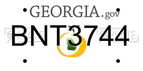 BNT3744 Georgia License Plate