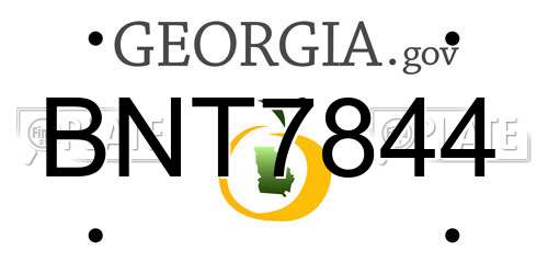 BNT7844 Georgia License Plate