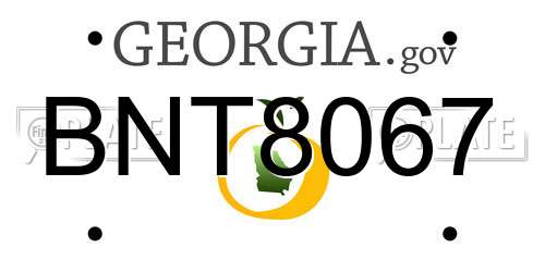 BNT8067 Georgia License Plate