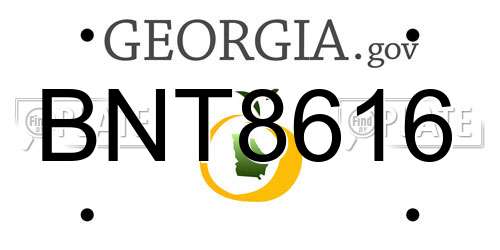 BNT8616 Georgia License Plate