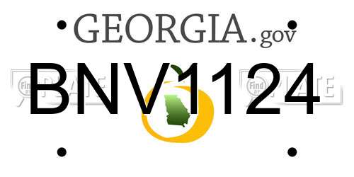 BNV1124 Georgia License Plate
