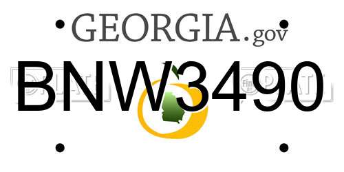 BNW3490 Georgia License Plate