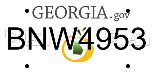 BNW4953 Georgia License Plate