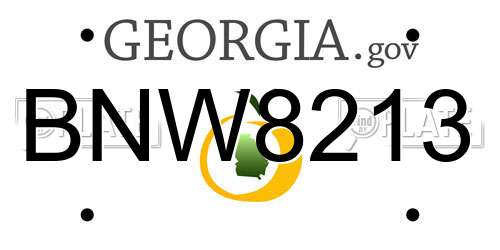 BNW8213 Georgia License Plate
