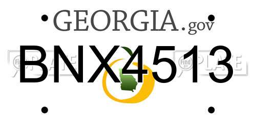 BNX4513 Georgia License Plate