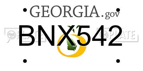 BNX542 Georgia License Plate