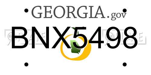 BNX5498 Georgia License Plate