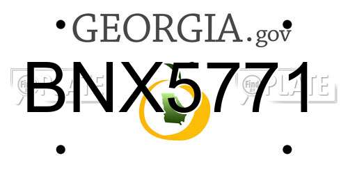 BNX5771 Georgia License Plate