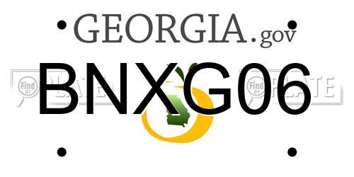 BNXG06 Georgia License Plate