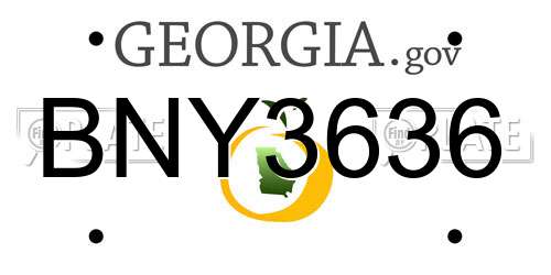 BNY3636 Georgia License Plate
