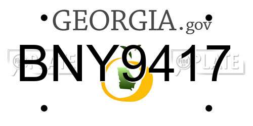 BNY9417 Georgia License Plate