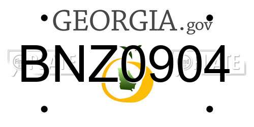 BNZ0904 Georgia License Plate