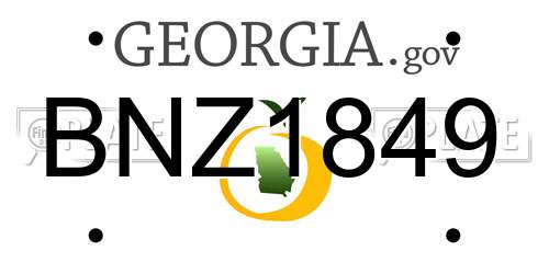 BNZ1849 Georgia License Plate