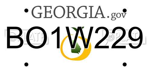 BO1W229 Georgia License Plate