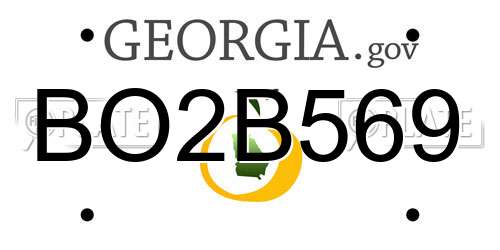BO2B569 Georgia License Plate
