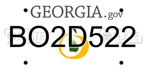 BO2D522 Georgia License Plate