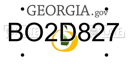 BO2D827 Georgia License Plate