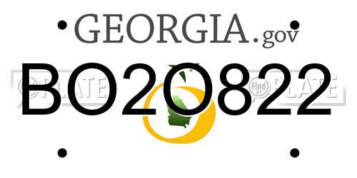 BO2O822 Georgia License Plate