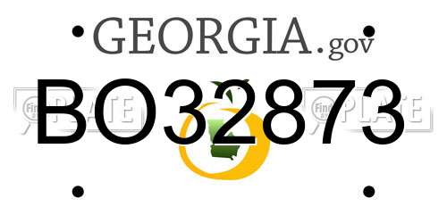 BO32873 Georgia License Plate