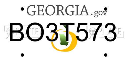 BO3T573 Georgia License Plate