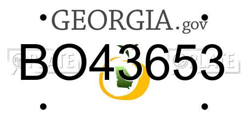 BO43653 Georgia License Plate