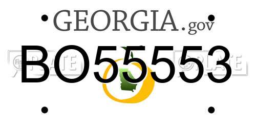 BO55553 Georgia License Plate